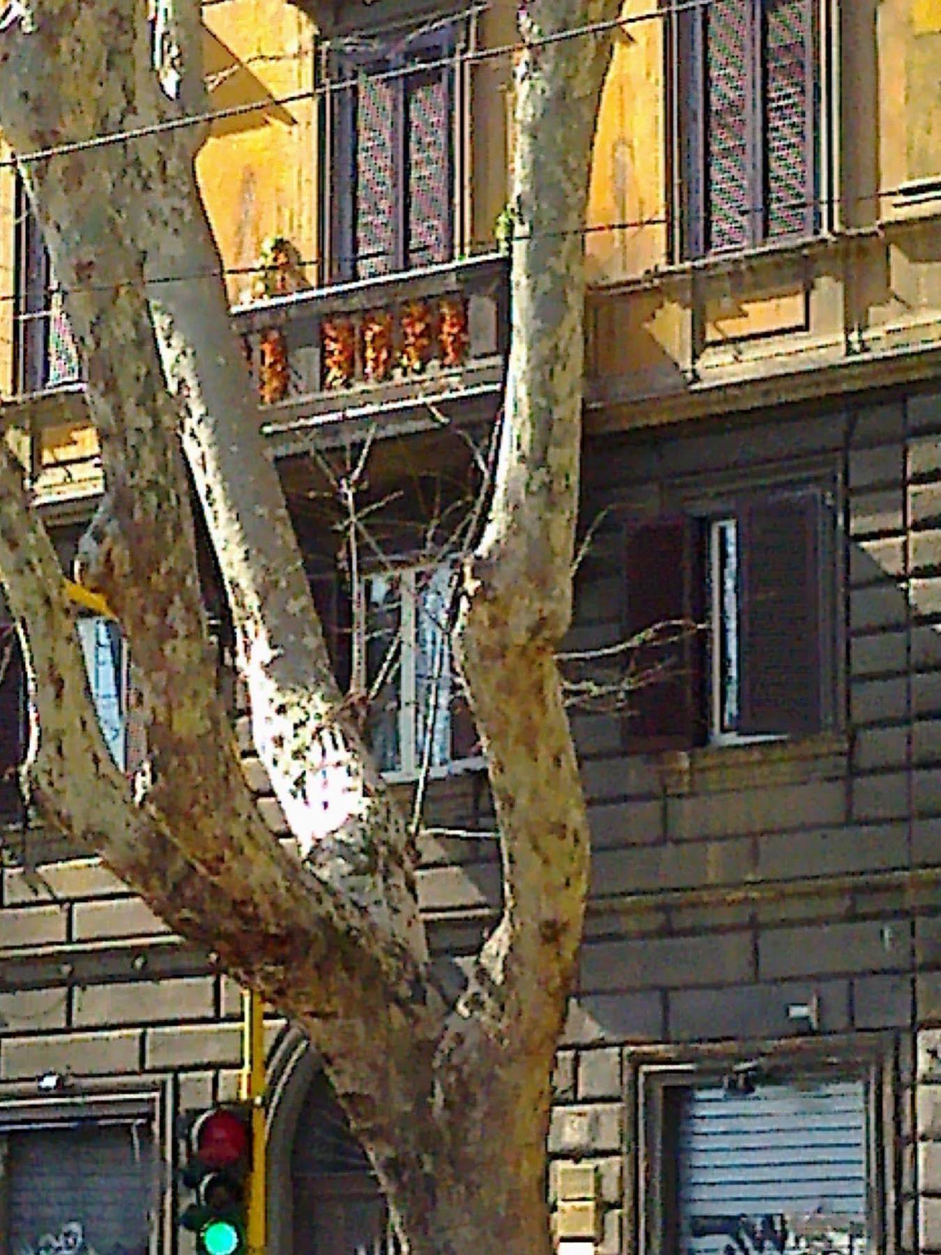 Al 138 Town House Hotell Roma Eksteriør bilde